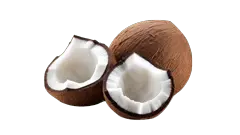 Aceite de Coco