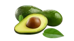 Aguacate