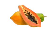 Papaya