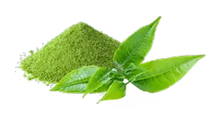 Te Matcha